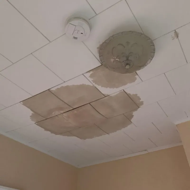 Ceiling Water Damage Repair in Unicoi, TN