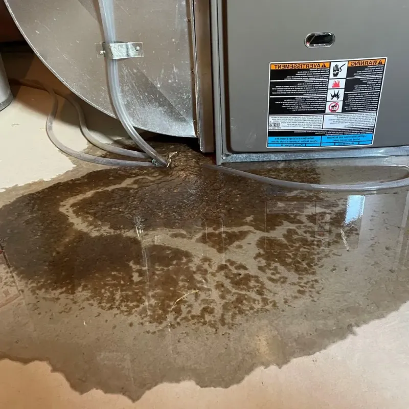 Pipe Burst and Leak Restoration in Unicoi, TN