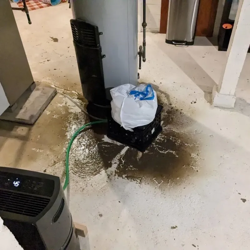 Sewage Backup Cleanup Service in Unicoi, TN
